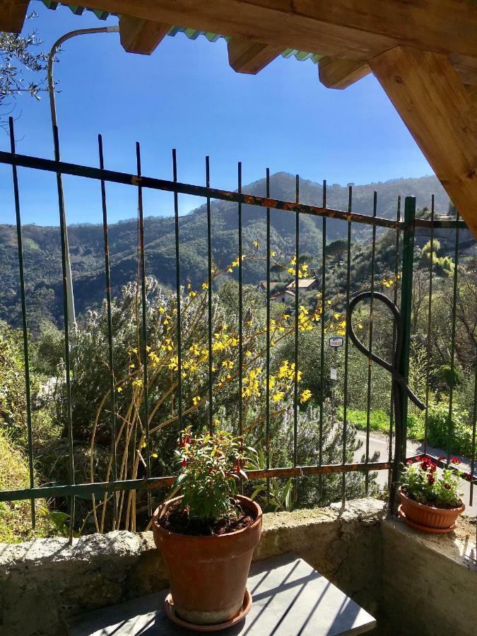 Il Nido Della Rondine Bed & Breakfast Leivi Eksteriør bilde
